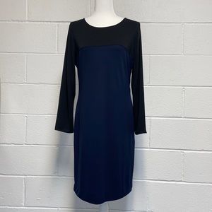 Brand New with Tag Banana Republic dress (Finale Price)
